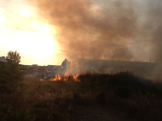 Fiamme alle Fontanelle: una vasta colonna di fumo è visibile anche a distanza